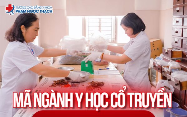 Mã ngành Y học Cổ truyền bao nhiêu?